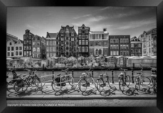 AMSTERDAM Singel Canal with Flower Market | monochrome Framed Print by Melanie Viola