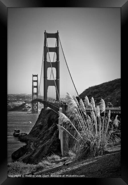 SAN FRANCISCO Golden Gate Bridge | monochrome Framed Print by Melanie Viola