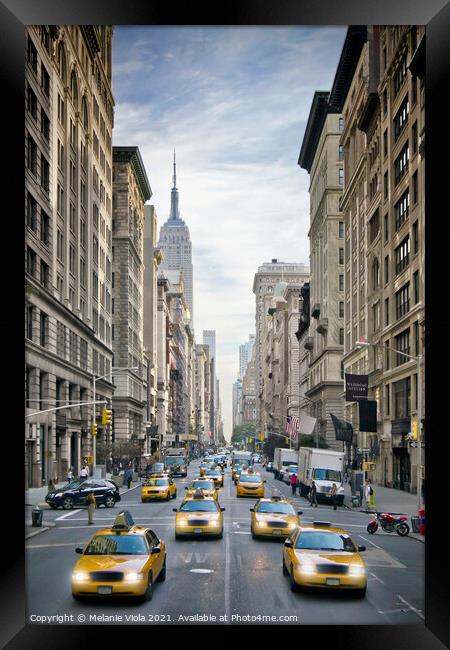 NEW YORK CITY 5th Avenue Traffic  Framed Print by Melanie Viola