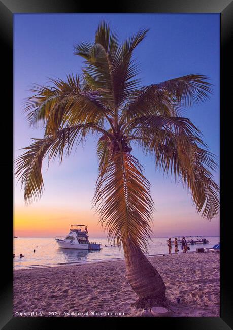 Roatan paradise  Framed Print by Peter Towle