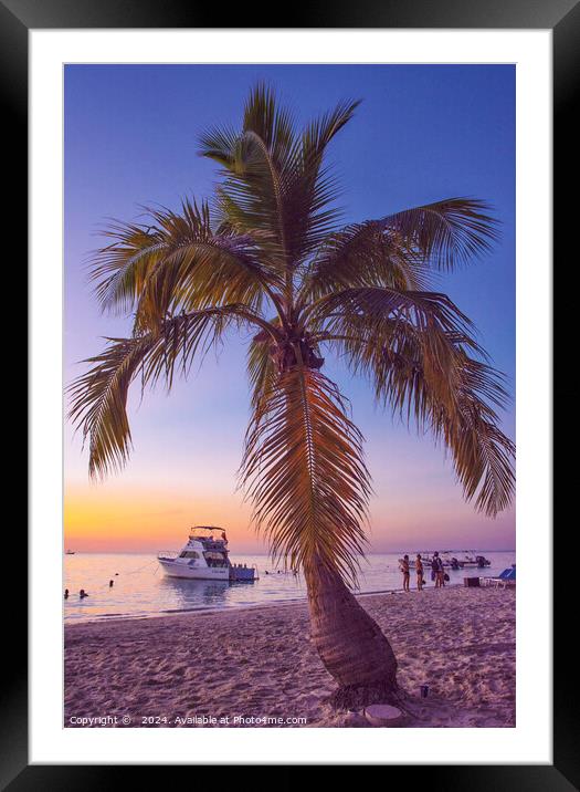 Roatan paradise  Framed Mounted Print by Peter Towle