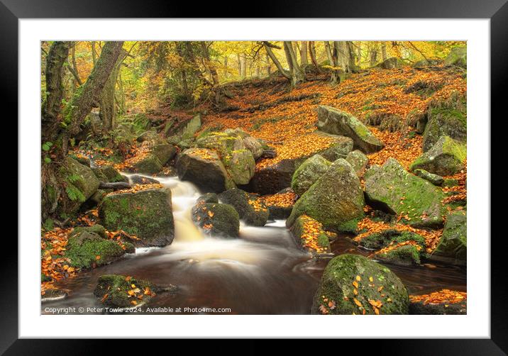 Padley Gorge in Autumn  Framed Mounted Print by Peter Towle