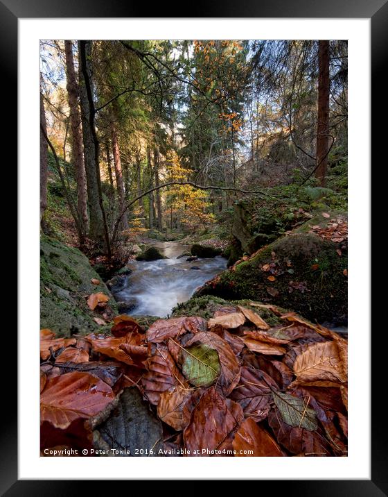 Wyming Brook Autumn Colours Framed Mounted Print by Peter Towle