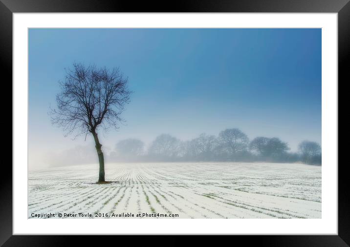 Lone Tree in winter Framed Mounted Print by Peter Towle