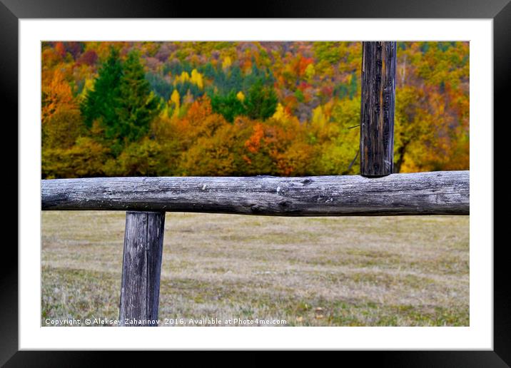 Autumn colors in a frame Framed Mounted Print by Aleksey Zaharinov