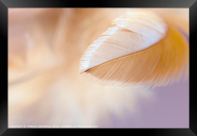 Dream Feather Framed Print by Aleksey Zaharinov