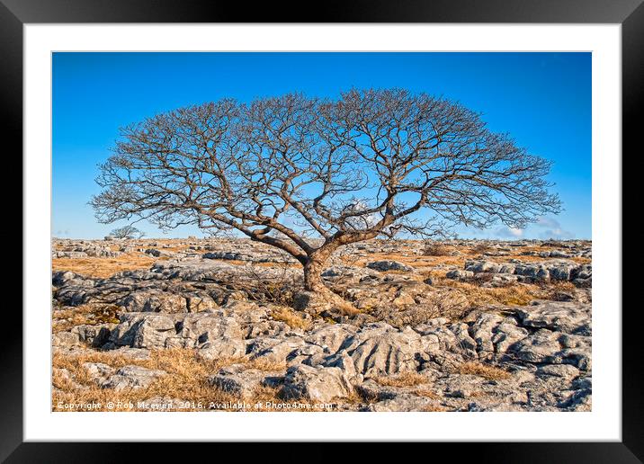 Limestone Pavements Framed Mounted Print by Rob Mcewen