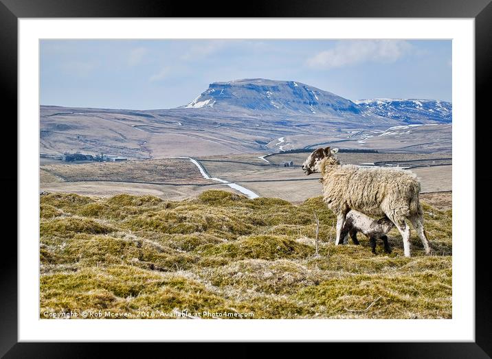 Pen Y Ghent at Lunchtime Framed Mounted Print by Rob Mcewen