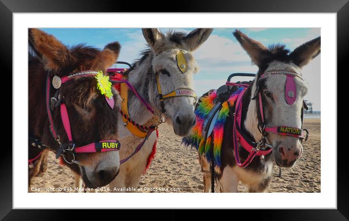 Blackpool Donkey Trio Framed Mounted Print by Rob Mcewen