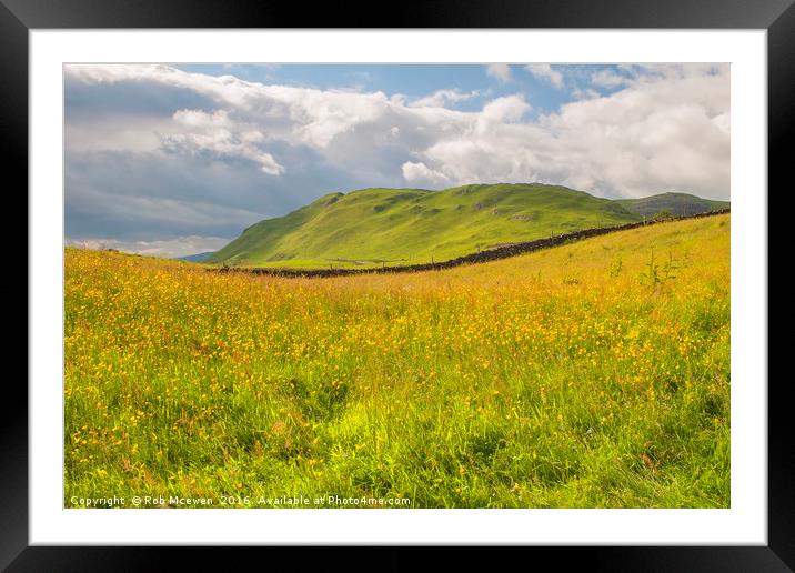 Buttercups and Limestone Framed Mounted Print by Rob Mcewen