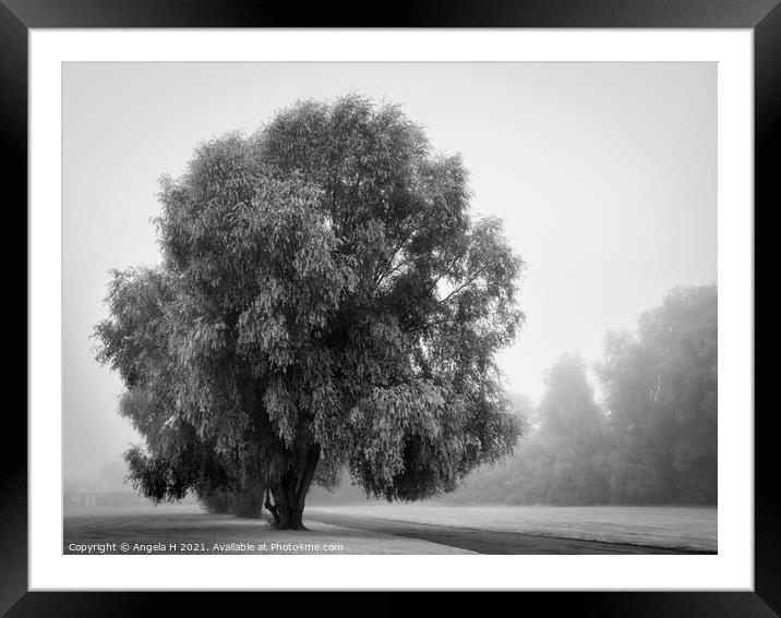 Single tree in fog Framed Mounted Print by Angela H