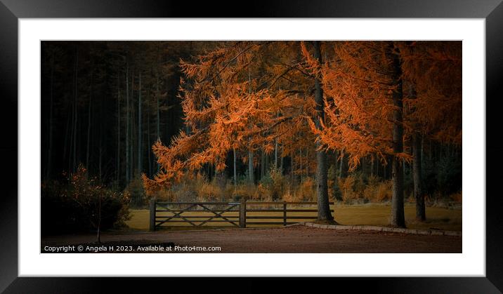 Beecraigs Country Park Framed Mounted Print by Angela H