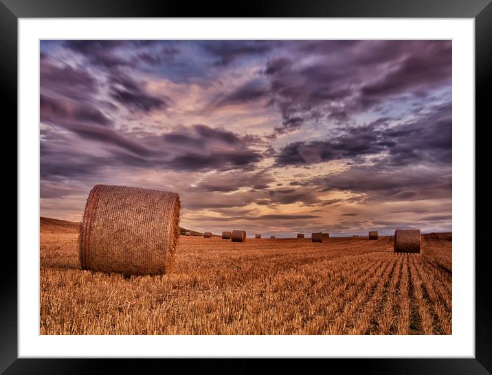 Hay Bales Framed Mounted Print by Angela H