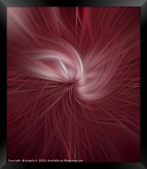 Dandelion abstract Framed Print by Angela H