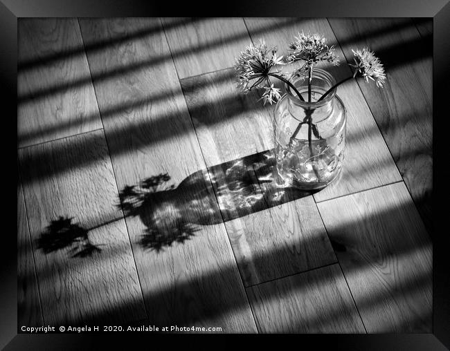 Shadows Framed Print by Angela H