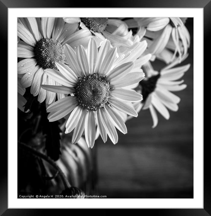 Oxey Daisies black and white Framed Mounted Print by Angela H