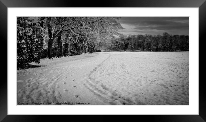 Snowy Park Framed Mounted Print by Angela H