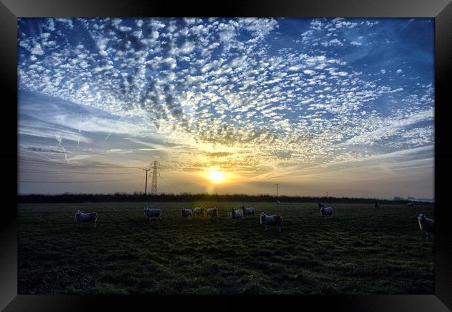 Sunrise Pembrokeshire style Framed Print by Grant Lewis