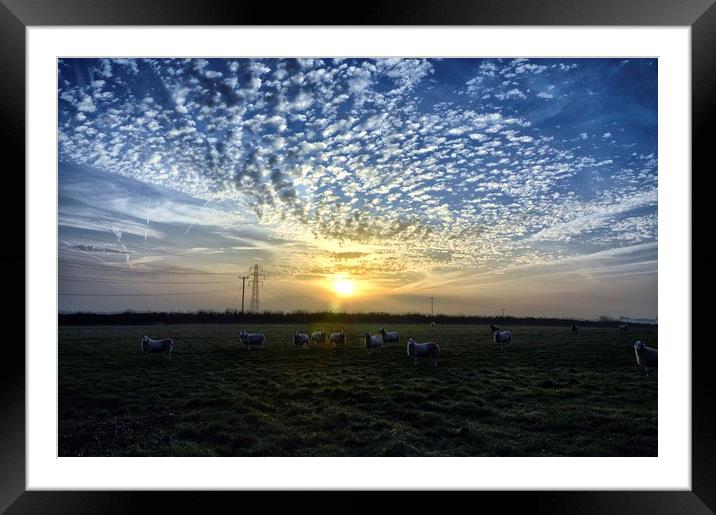 Sunrise Pembrokeshire style Framed Mounted Print by Grant Lewis