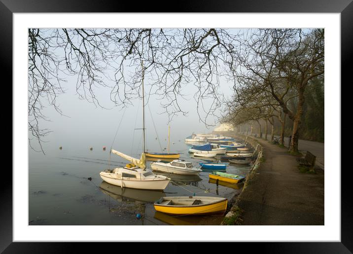 Misty Sunny Corner Framed Mounted Print by Michael Brookes
