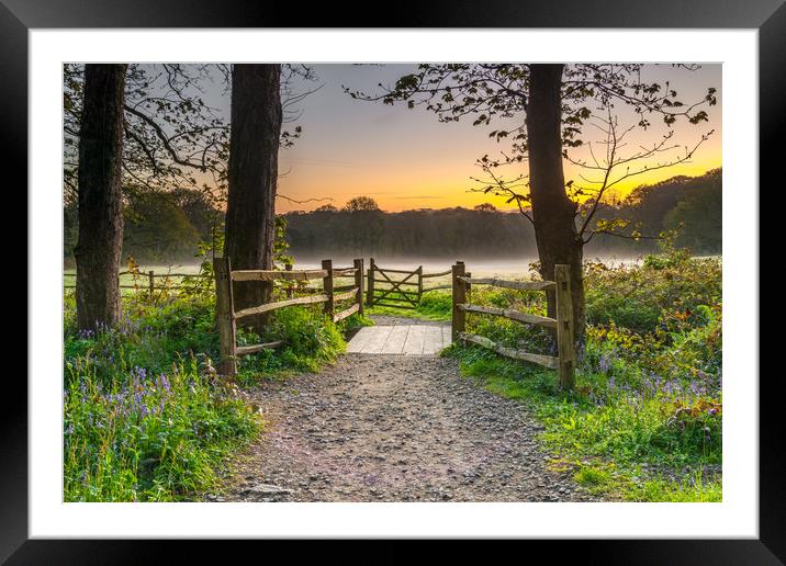 Spring Dawn Framed Mounted Print by Michael Brookes