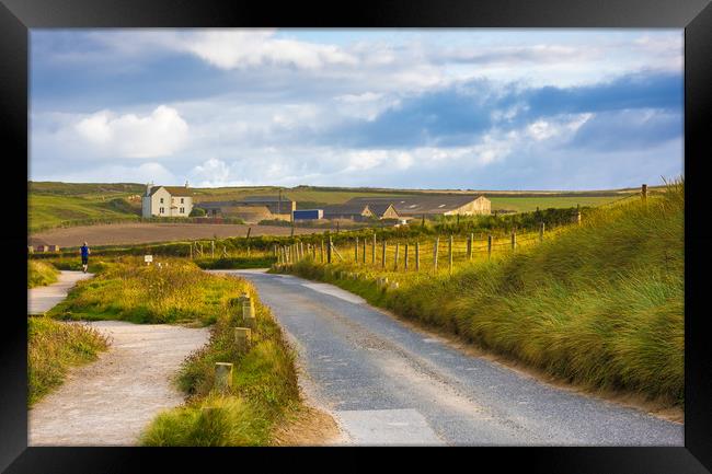 Morning run Framed Print by Michael Brookes