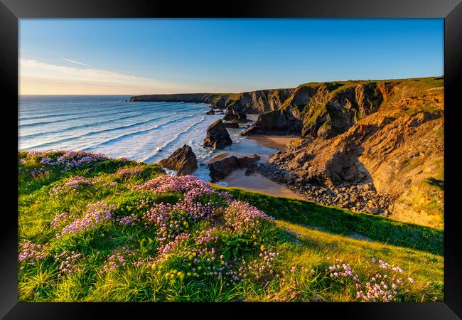 Bedruthan Steps Cornwall in Spring Framed Print by Michael Brookes