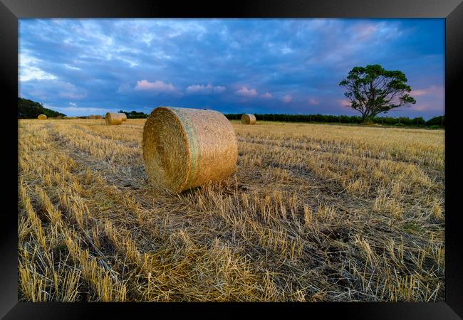 Mclaren vale dawn Adelaide SA Framed Print by Michael Brookes