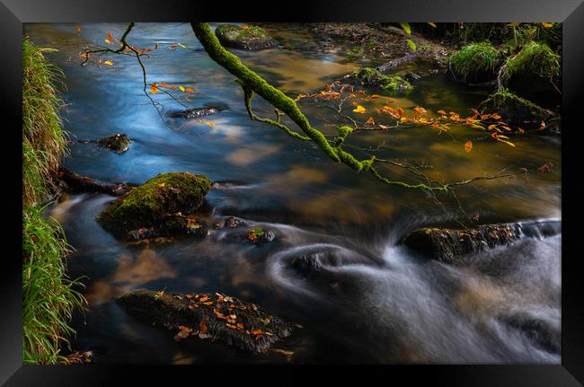 River's edge Framed Print by Michael Brookes