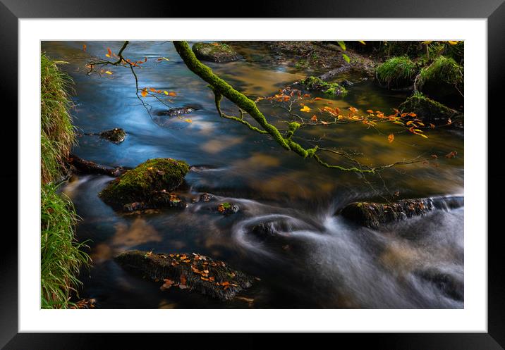 River's edge Framed Mounted Print by Michael Brookes