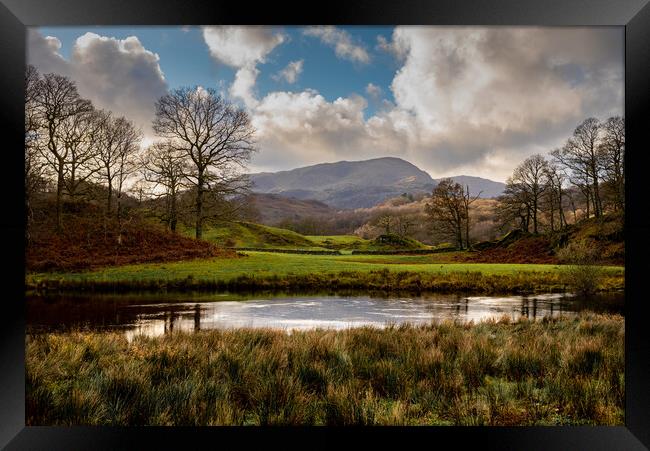 Langdales from near Elterwater Cumbria Framed Print by Michael Brookes