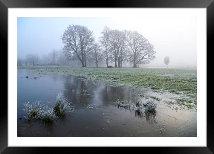 Winter magic Rickerby Park Framed Mounted Print by Michael Brookes