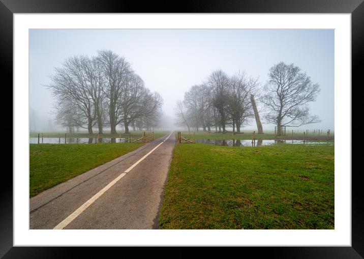 Into the fog Framed Mounted Print by Michael Brookes