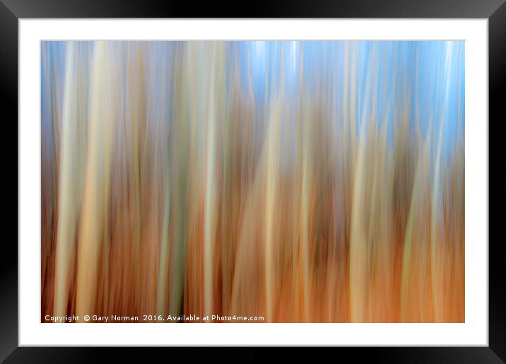 Blurred Trees Framed Mounted Print by Gary Norman