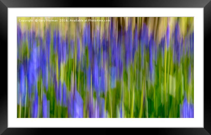 Blurred Bluebells from Maulden Woods, Bedfordshire Framed Mounted Print by Gary Norman
