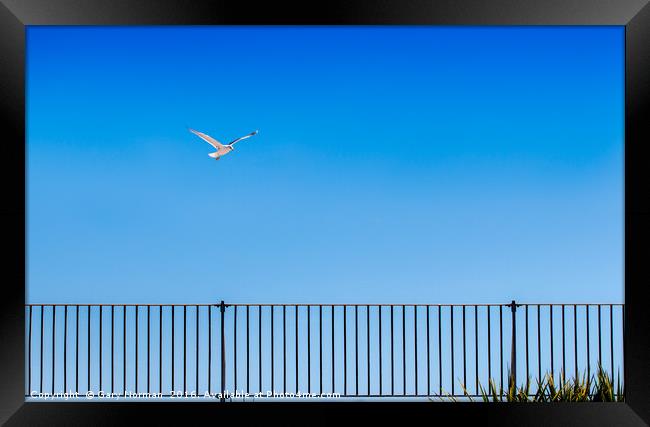 Seagull and fence at Great Yarmouth  Framed Print by Gary Norman