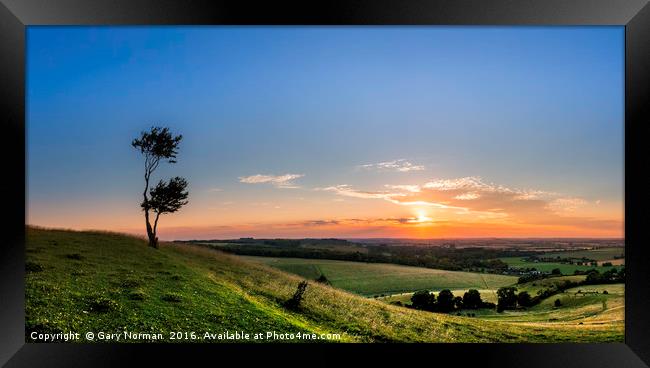Lone tree at sunset on Deacon Hill, Hertfordshire Framed Print by Gary Norman