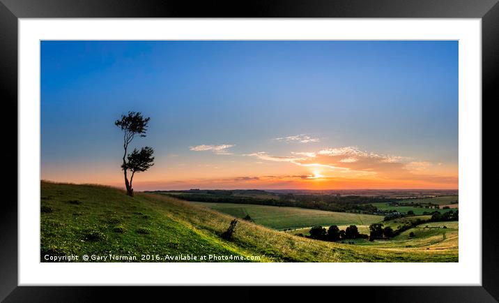 Lone tree at sunset on Deacon Hill, Hertfordshire Framed Mounted Print by Gary Norman