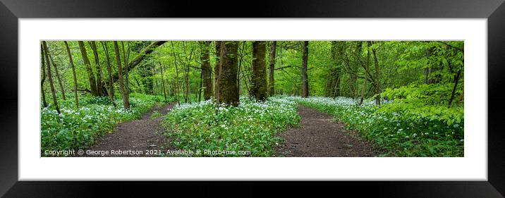 Path in the woods Framed Mounted Print by George Robertson