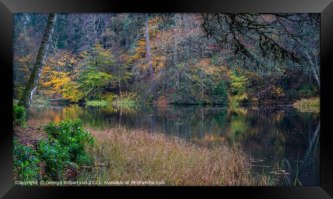 Autumnal Woodland near Pitlochry Framed Print by George Robertson