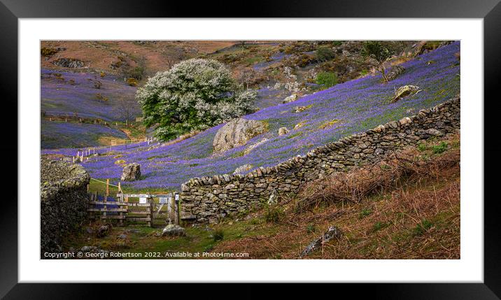 Gate into the  Rannerdale Bluebell fields Framed Mounted Print by George Robertson