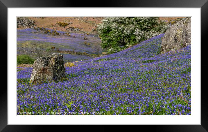 Early evening at Rannerdale Bluebells Framed Mounted Print by George Robertson