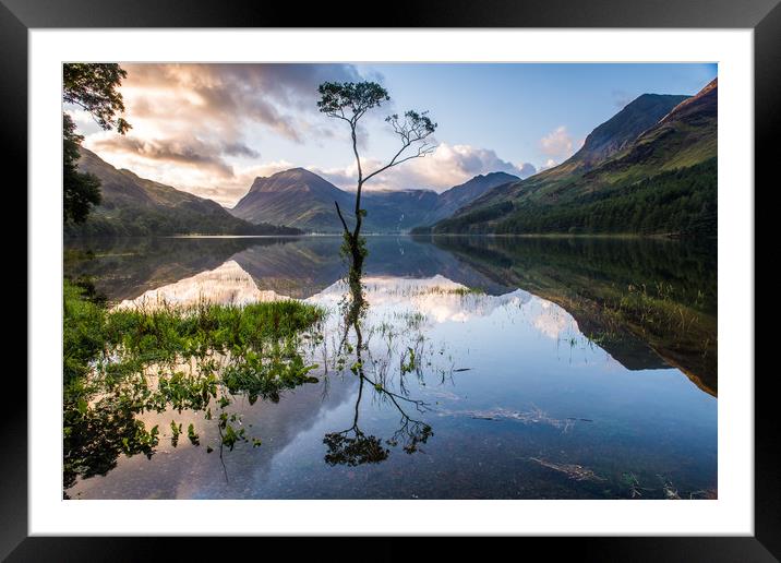 Lone Tree on Buttermere  Framed Mounted Print by George Robertson