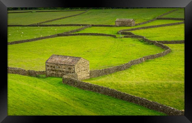 Swaledale Barns and stone walls Framed Print by George Robertson