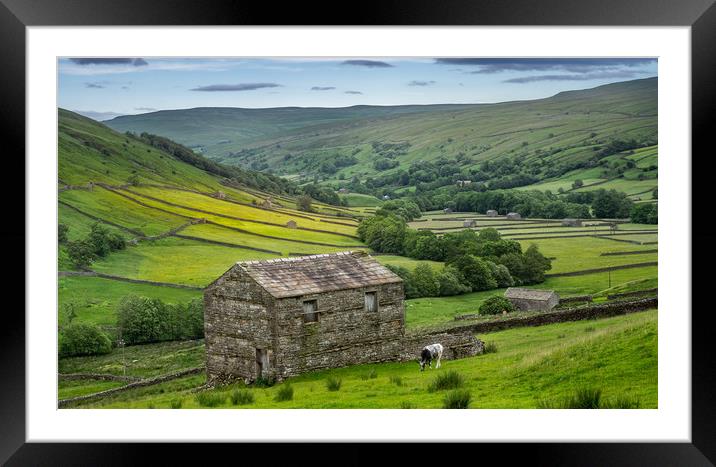 The old barns in Swaledale Framed Mounted Print by George Robertson