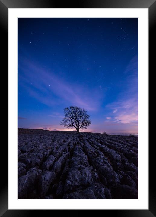 Malham Tree by night Framed Mounted Print by George Robertson