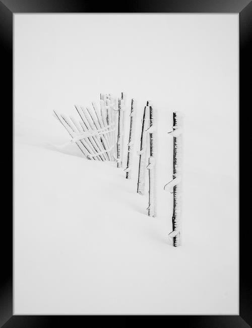 Rime Ice on snow fence  Framed Print by George Robertson