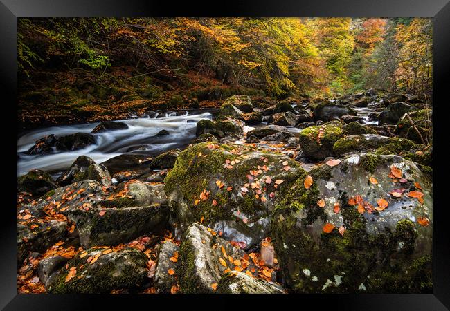 Autumn on the River Braan in Perthshire Framed Print by George Robertson