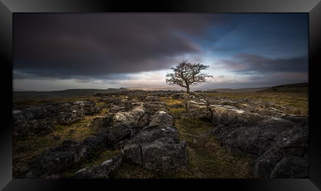 Lone Tree at Sunrise Framed Print by George Robertson