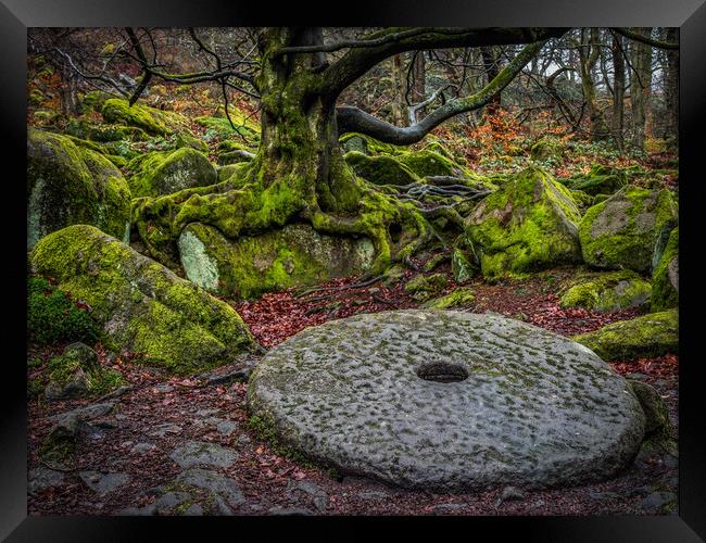 Old Millstone on the forest floor Framed Print by George Robertson
